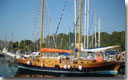 Search for traditional wooden yachts